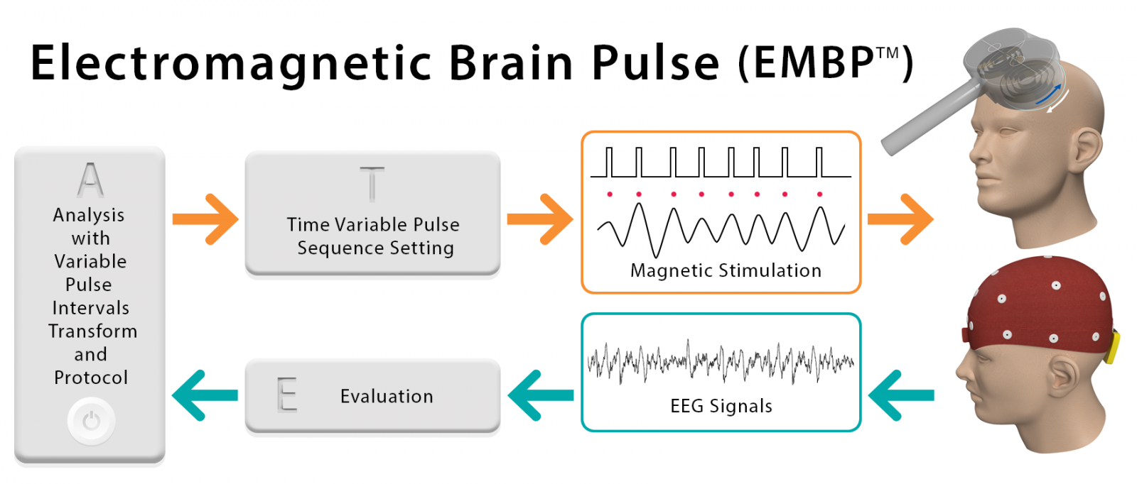 Electromagnetic Brain Pulsing (EMBP) 